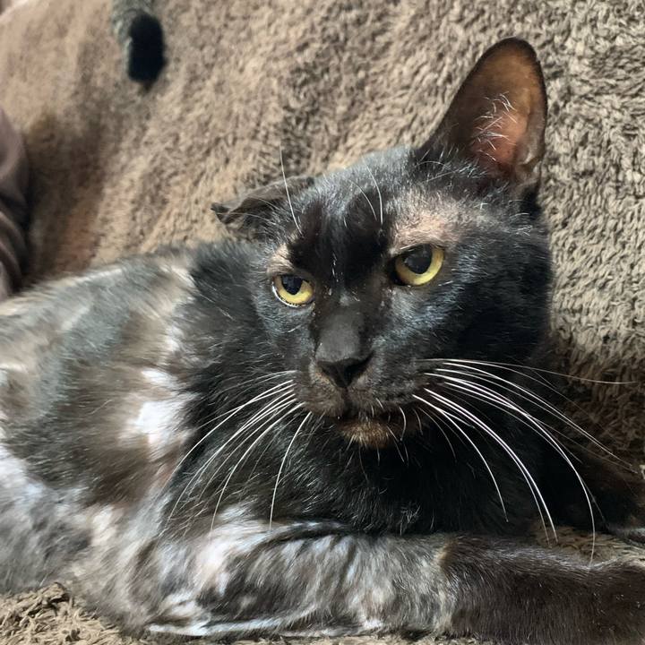 Dbf78bbc cb84 4004 b5f9 1b9087a48de5 1575681671589