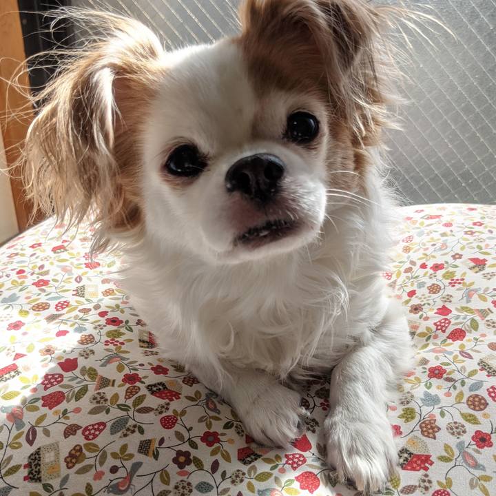 Dbf7cac9 b8f9 4d6d 8036 5e24eea29e04 1613793885466