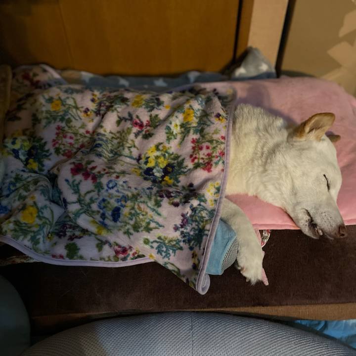 Dbf7cb5e 5edf 4669 969f b6c9d4502ed8 1647190477486