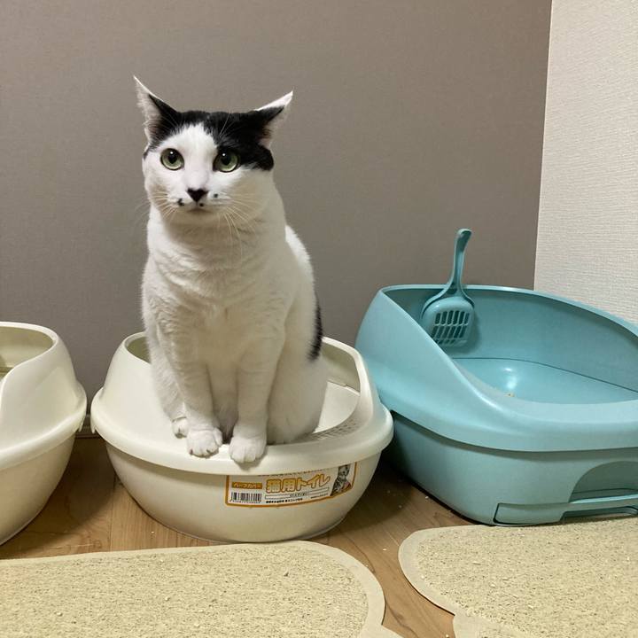 Dbf7f5fb 2650 4611 8189 5ebb6d3c7647 1760780340580