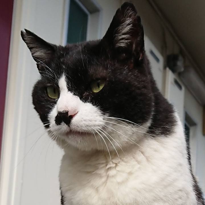 Dbf82686 308c 4230 9c24 667af5fc1144 1591912968592