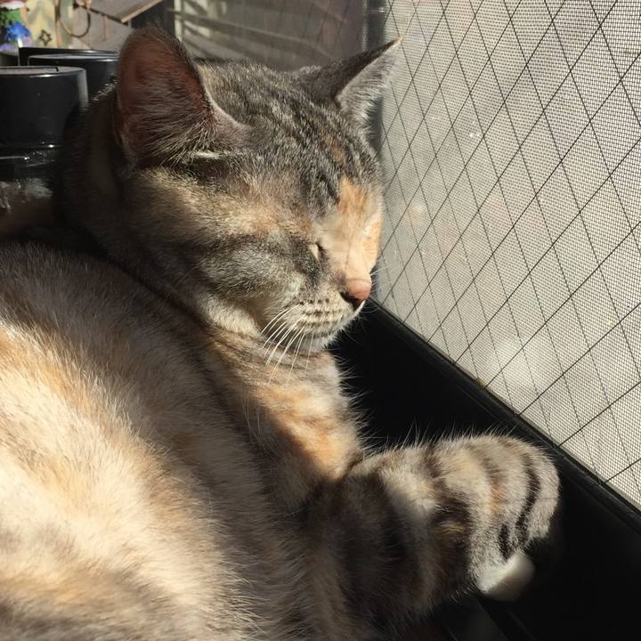 Dbf84fe5 9a76 4eee 9e4d cb86bc36a28d 1550731574949