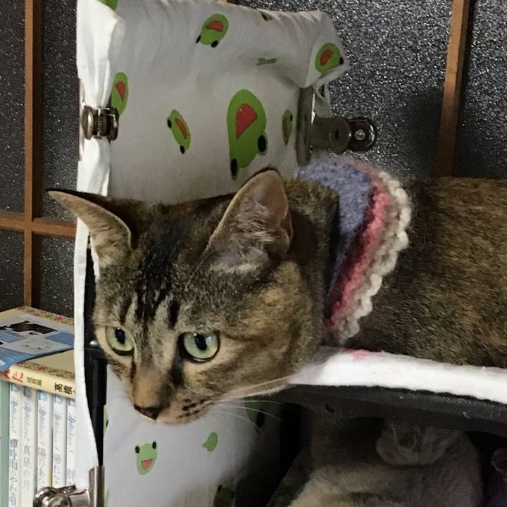 Dbf85717 8cee 4599 88f7 6ea3abae7ae9 1625903353288