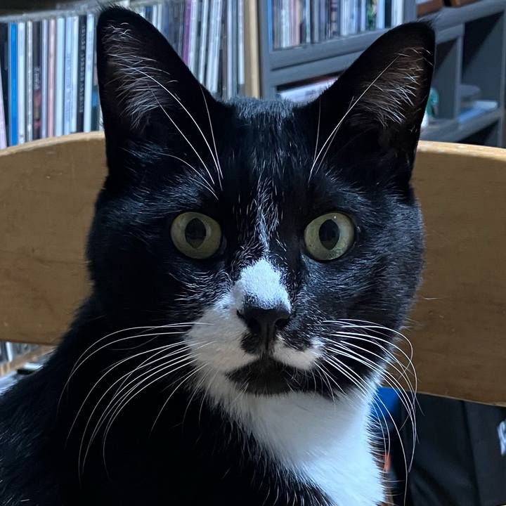 Dbf862b3 789a 4d7b 881b 069da1d1251c 1770869879352