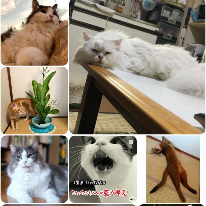 Dbf86ebe 5717 4b04 a3a2 19e5186f0266 1568893317307