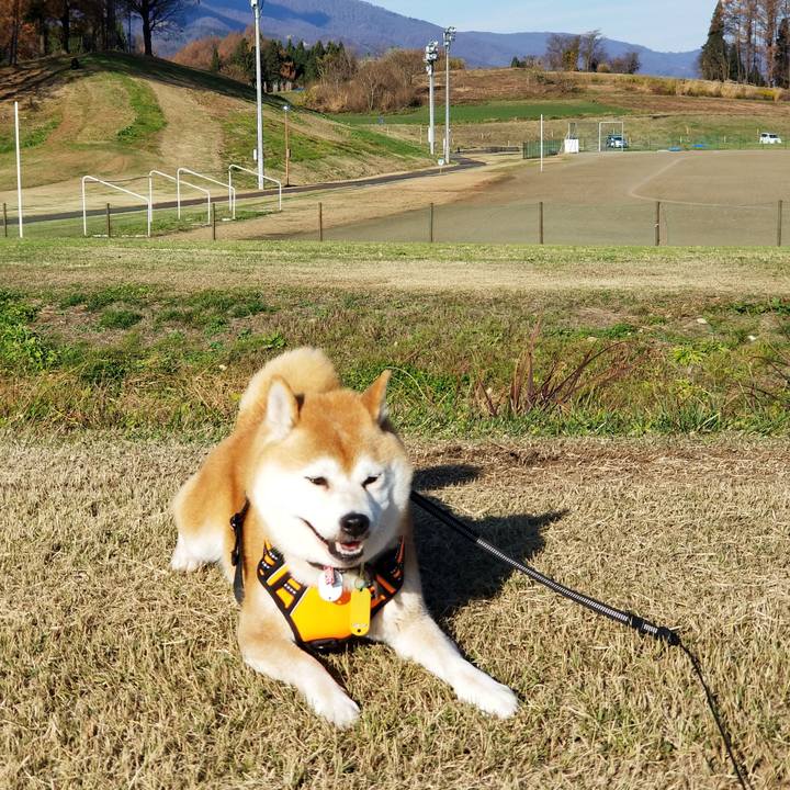 Dbf8987b d962 4d2c 9f17 264ded20b8f9 1606020979425