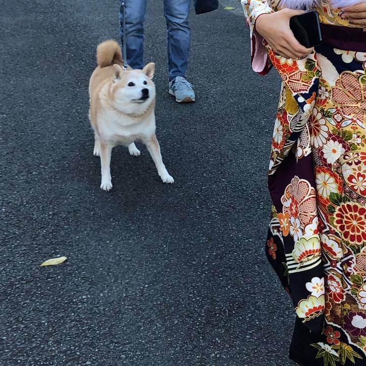 Dbf8a739 b074 4103 8539 17afcb192c88 1610266824119