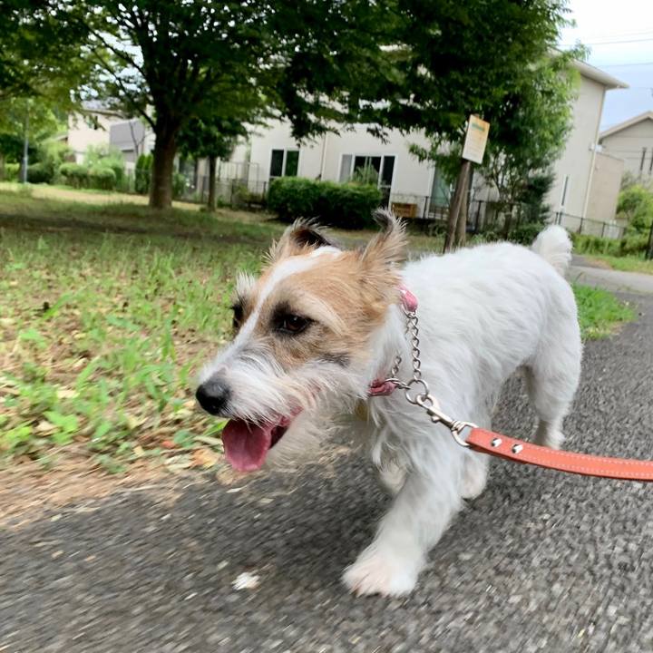 Dbf8b8b4 c6b3 4dac 8ac4 bf6cce242a2b 1628724207498