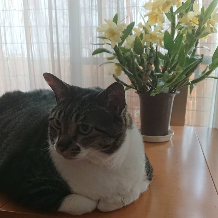 Dbf8d71a 5893 471e 8e6e efb8bf9c8730 1561945170002