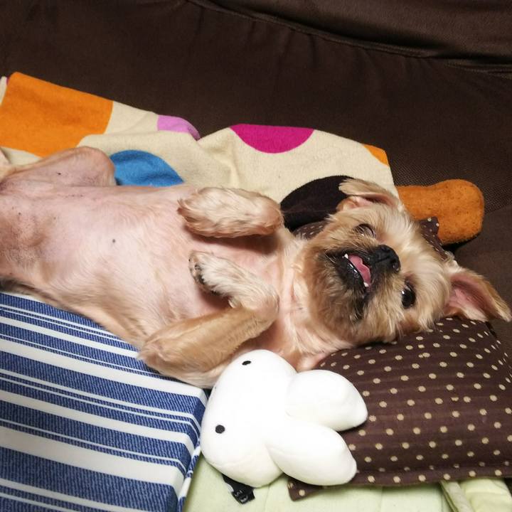 Dbf8df58 d440 46f9 956a 14482719d1d8 1532346862654