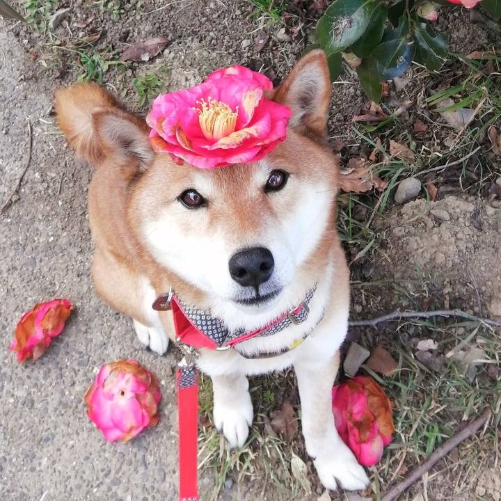 Dbf8e073 5dec 4ecd b0fd 7846663d6106 1612766490454