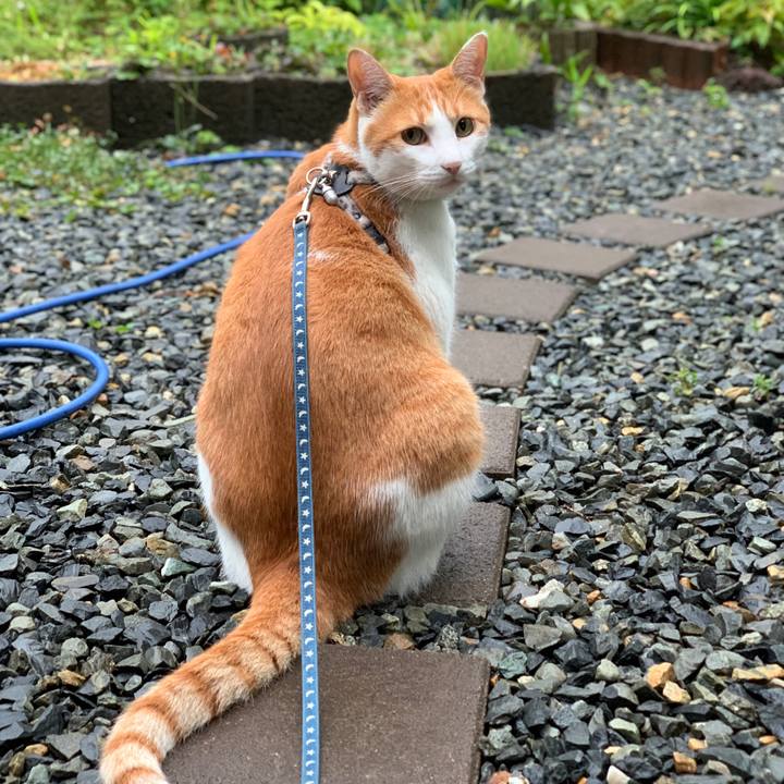 Dbf8f551 cc80 4141 b43c 8e67fe1b4111 1627421592752