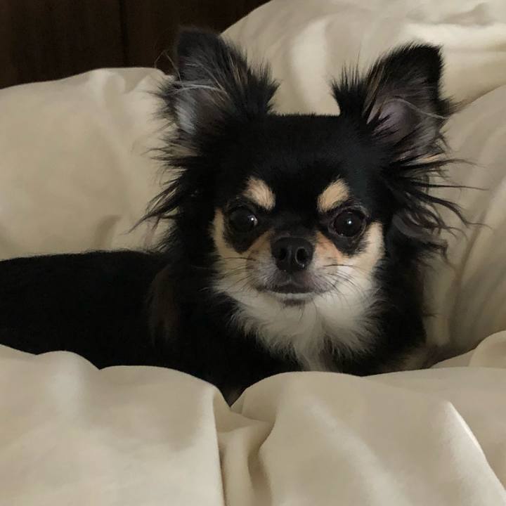 Dbf93174 a92e 407f 8541 7fdf0ad1df0a 1567982228498