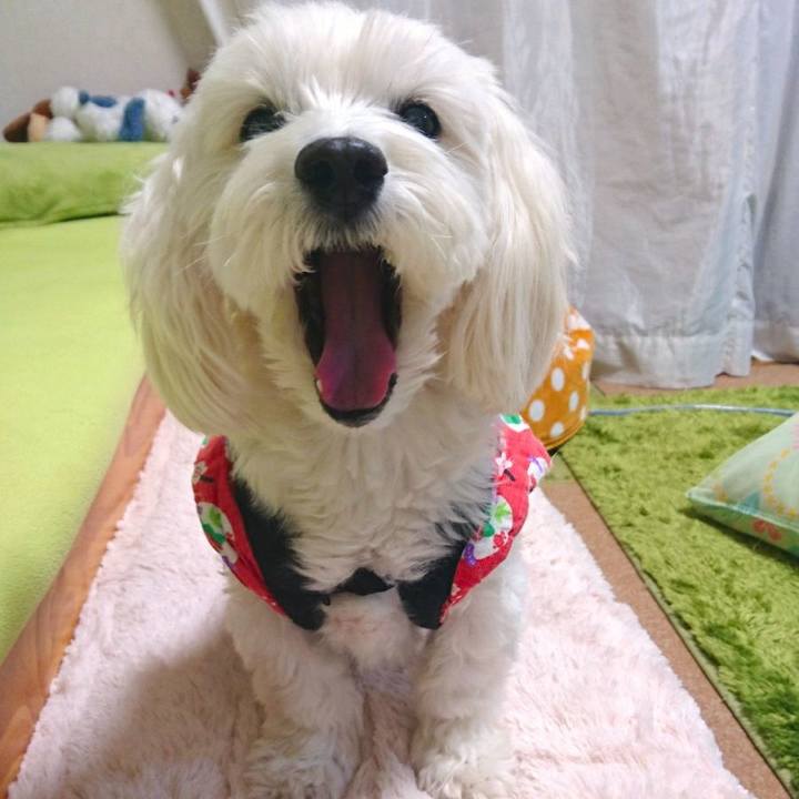 Dbf94330 33b9 4293 99d3 0720151fab15 1513299127056