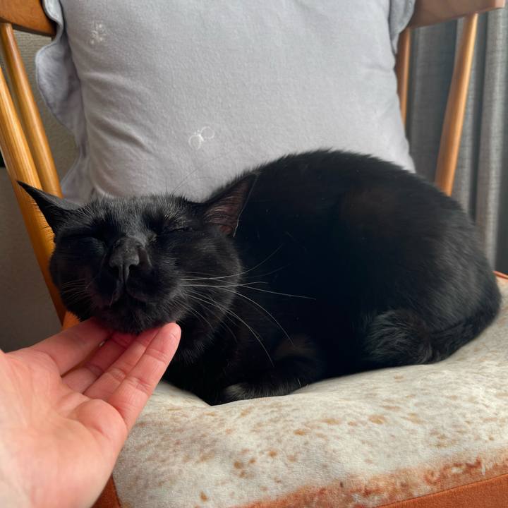 Dbf98962 3a6b 4610 aab3 c61ea13d3652 1675817572397