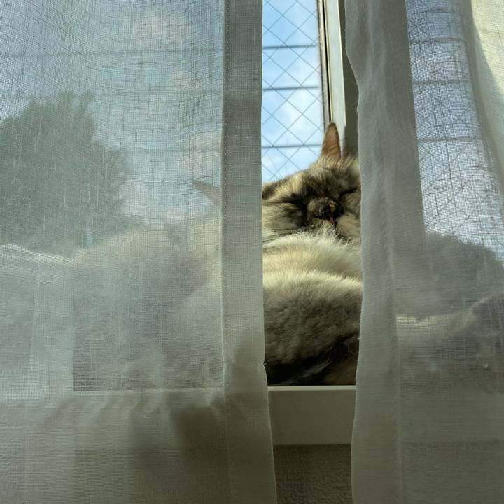 Dbf99890 c5fe 4fce 9d08 c63ee2e02a3b 1751528934423