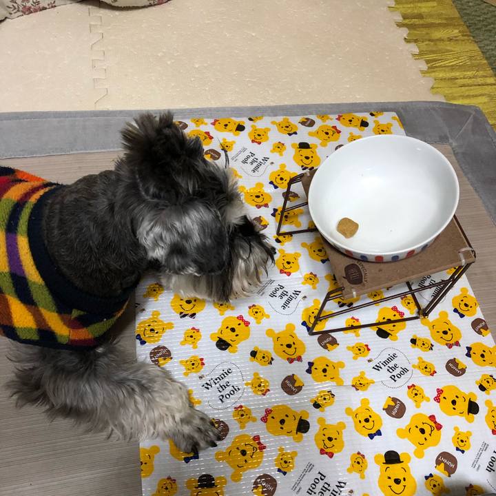 Dbf9d521 8be2 45a4 b7db 2da2cf8b3e49 1616146598886