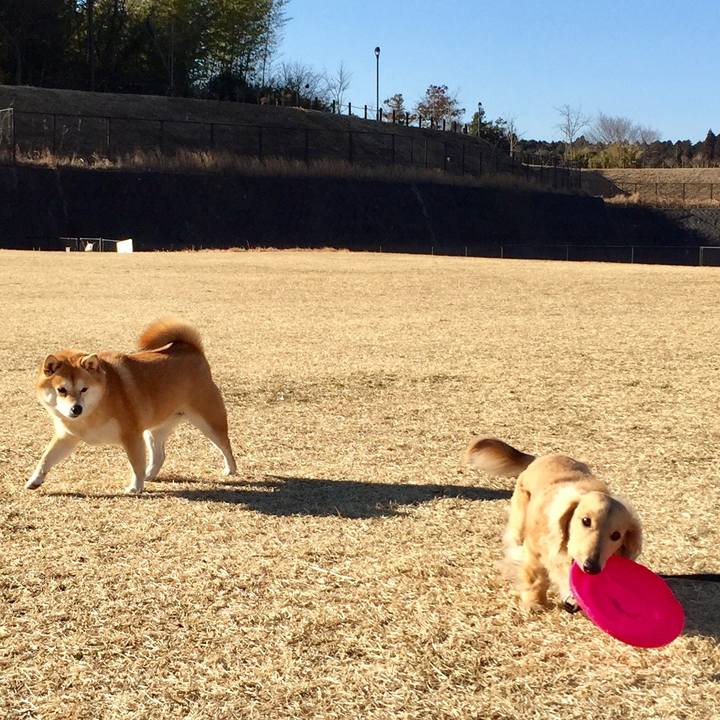 Dbf9d78a c667 45e9 ab2b f0f009c41ab6 1518399394655