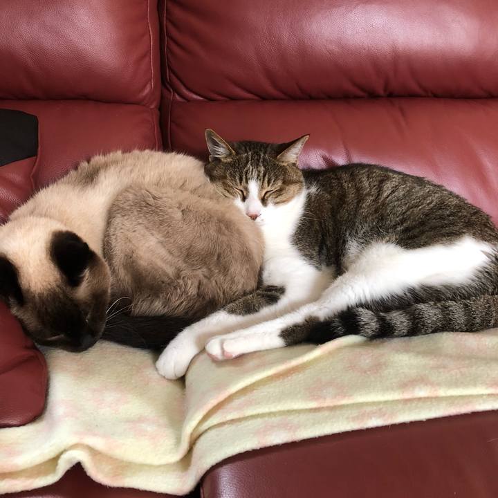 Dbfa0265 afeb 45c8 a79a 11928093a5c1 1528943300079