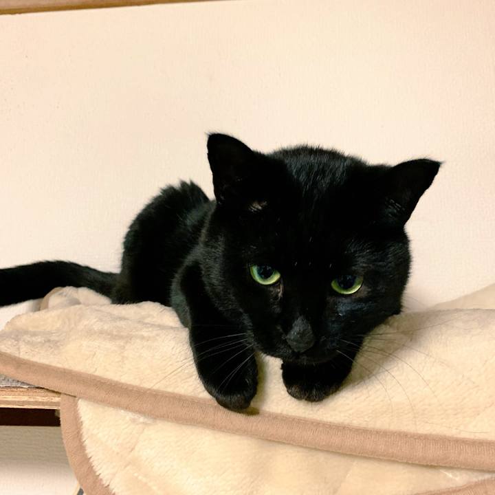 Dbfa1e54 3bc7 4f7b b499 8b6a66a1ae38 1544094395172