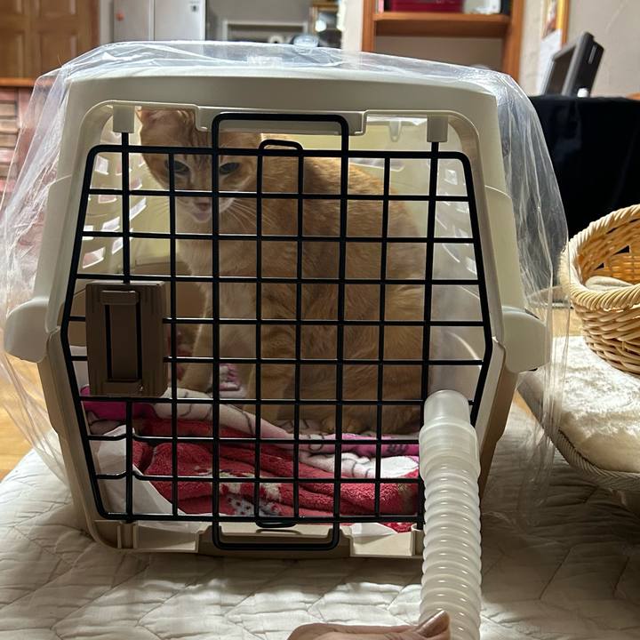 Dbfa837f bff7 484b 8347 e4b4ec25b07a 1676808128891