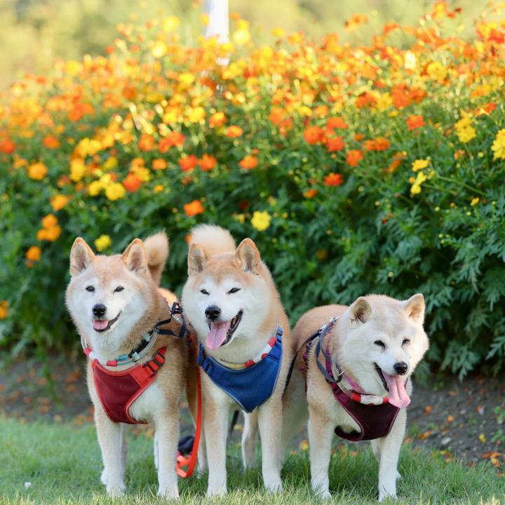 Dbfa9432 d528 49eb bd23 4ffdb3919190 1760564896973