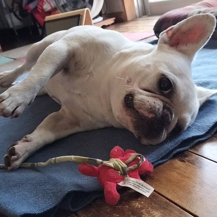 Dbfaacac f4b9 4131 ad70 39ce61b8fc7b 1686880003562