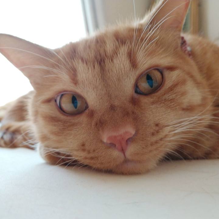 Dbfaafe7 8ee8 4537 ade8 8143ab8dbfb0 1597536600200