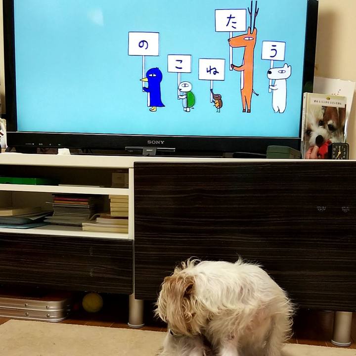 Dbfab600 653f 4e7d ad92 451f02ead7fb 1558476308927