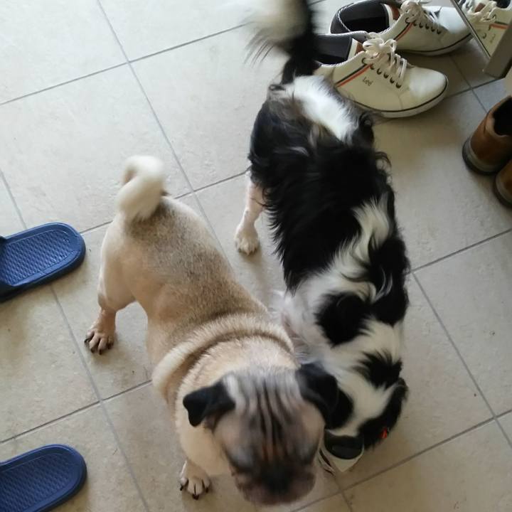 Dbfac984 d697 4f9e 8c3e ce1495a3fbea 1580414085266