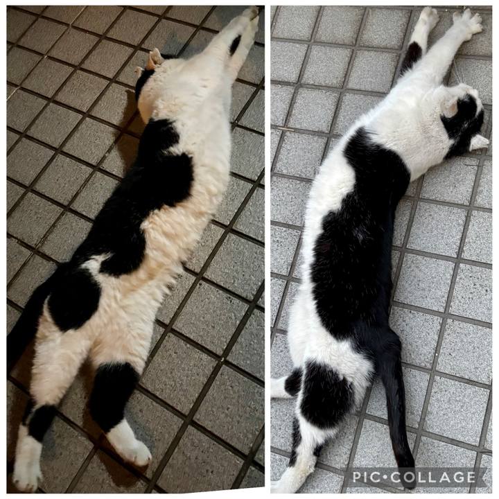 Dbfae1b2 4d0a 4bf6 9036 30fb69585d3c 1768895658237