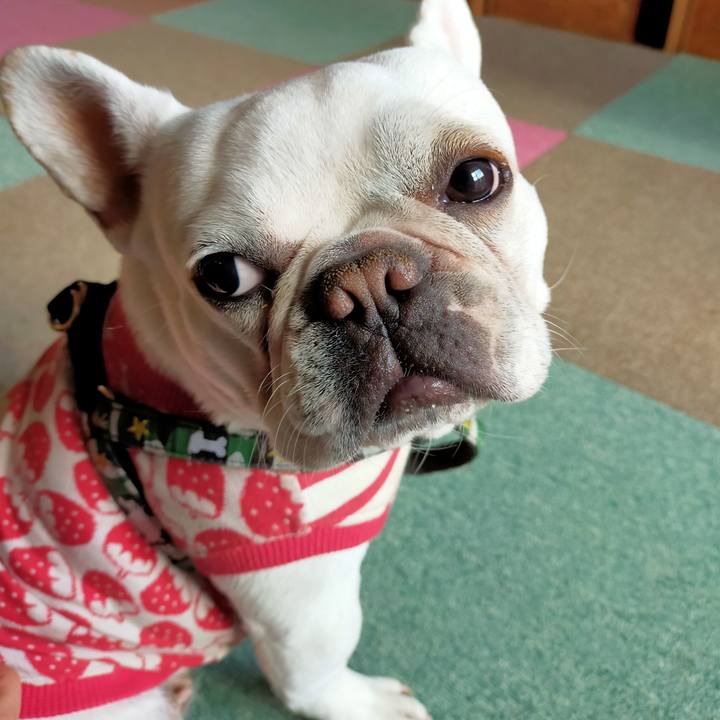 Dbfae704 0960 4371 b892 c88f05ecb5e6 1645579322984