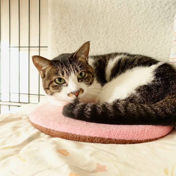 Dbfb0d28 2762 4b1c a19c 5b68bb0a1ed0 1769140737467