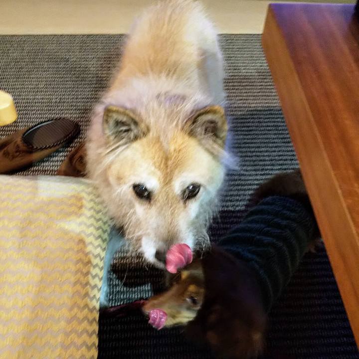 Dbfb1bb5 77cc 4fb8 ab09 8f028f2a7391 1576938686496