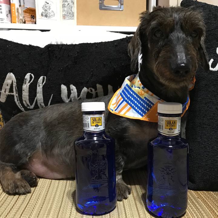 Dbfb31d1 b16a 43d8 98f9 c8ebc2e04455 1533905800211