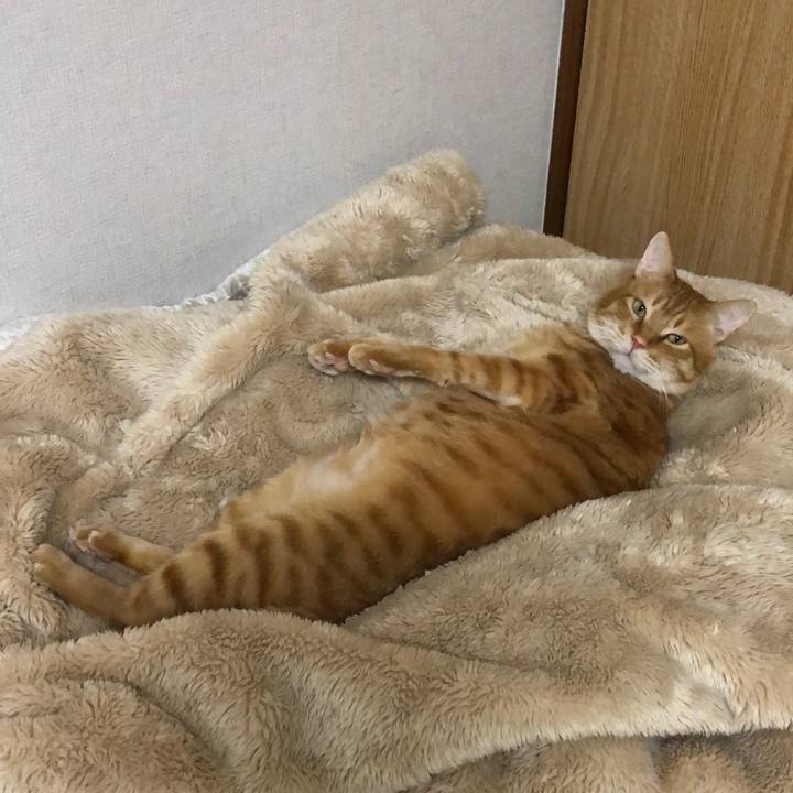 Dbfb3f9e 1b2c 4d07 8dfe dba0575bb621 1610798046791