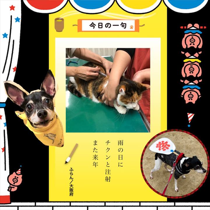 Dbfb7ebc 1569 4116 a92f 559640abb836 1544626343819