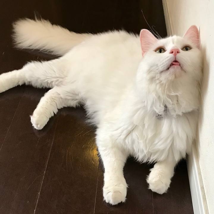 Dbfb92c5 831e 49f4 afbd 768f21a7c08f 1567238478766