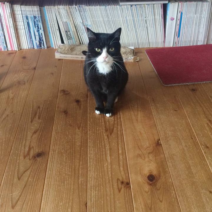 Dbfb98b4 40af 46d2 af28 76490de17489 1539299745717