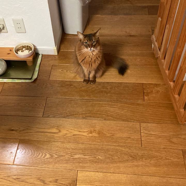 Dbfbca10 ef6c 4c48 8378 adcb4e1624b6 1765030761575