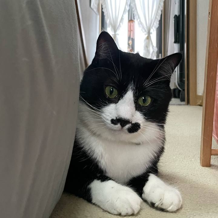 Dbfbd9a1 60d7 4f19 9a41 ce83f0001b40 1653962797366