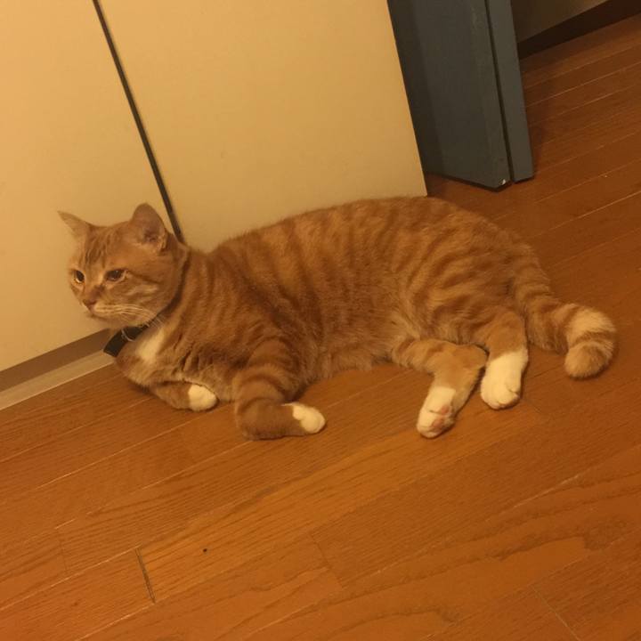 Dbfc0a0d 49cd 431d 8b2a 87d6bd0c690d 1555943320084