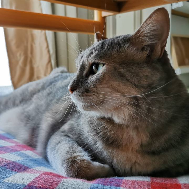 Dbfc2d6b 9272 41d9 818d 5fa9a94cf4d0 1656154274535