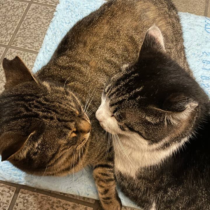 Dbfc5ec4 e71c 4581 b818 0eddca07df06 1614676776367