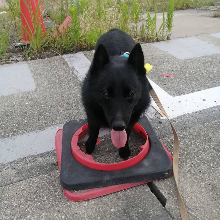 Dbfc7356 732b 495c a7f6 c9e1defc05fb 1657317499413