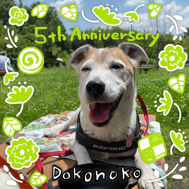 Dbfc9869 4335 4ef7 b540 24ab375c7ded 1622868106664