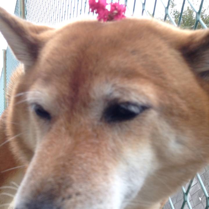 Dbfd1279 50a0 4043 878a 61d5d5809570 1538968915683