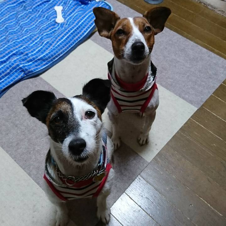 Dbfd4bbd daf3 4650 a289 0a5dd7e5bb62 1562676132218