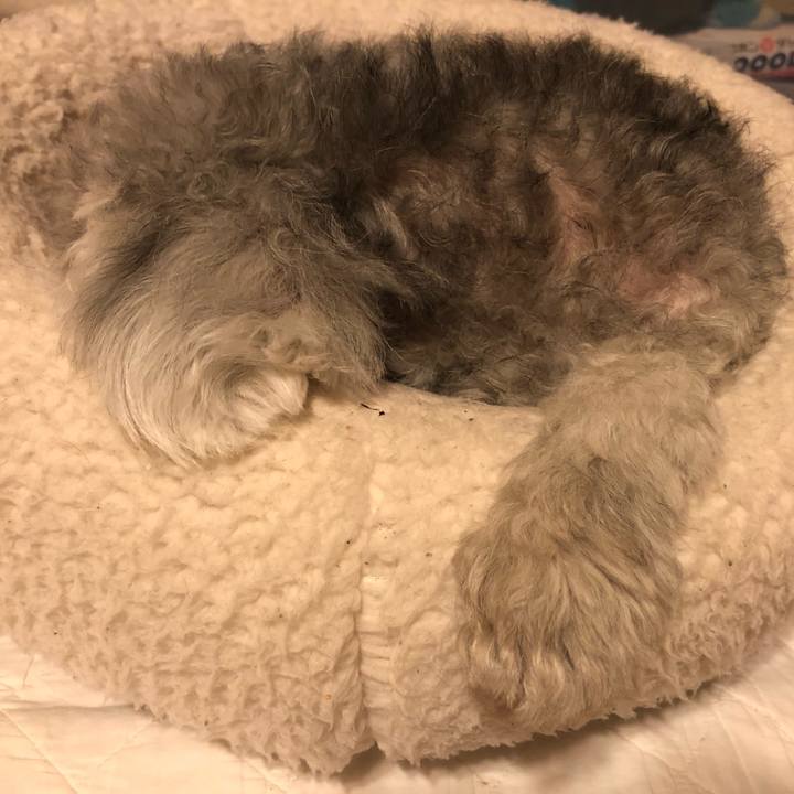 Dbfd560e 773a 4c14 8e45 815a054447e6 1601990140333