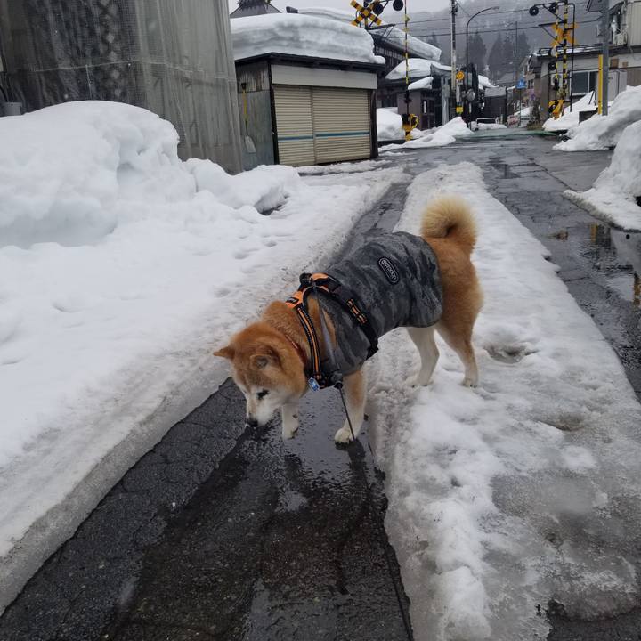 Dbfd7994 e641 4d3a b359 f2fed2ae61a5 1741231243094